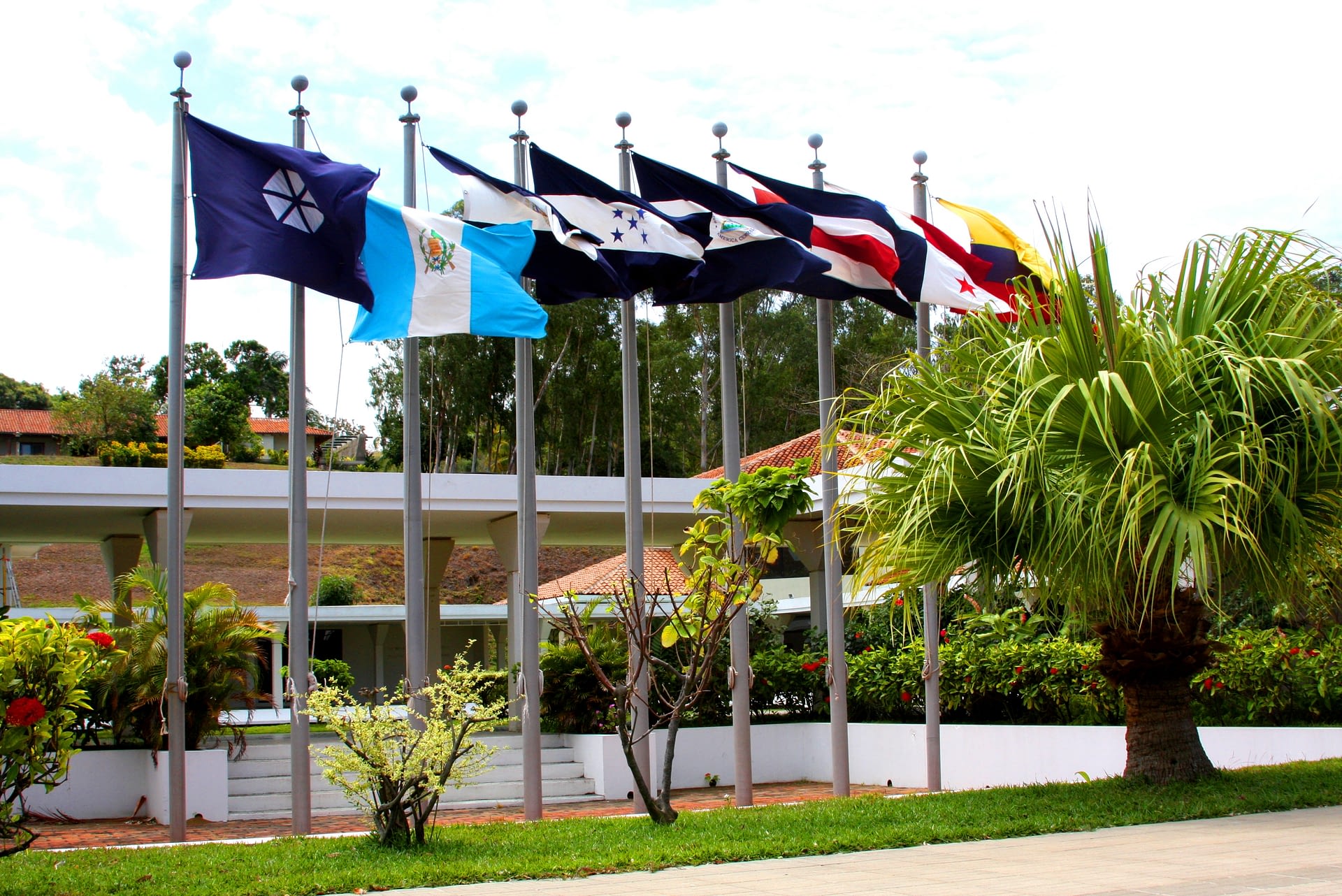 incae